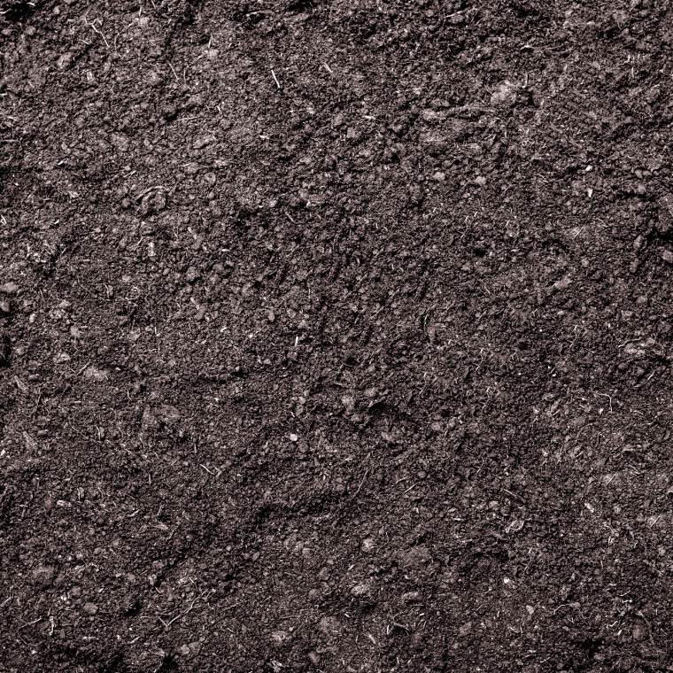 Peat-Free General Purpose Compost - Bulk Bag