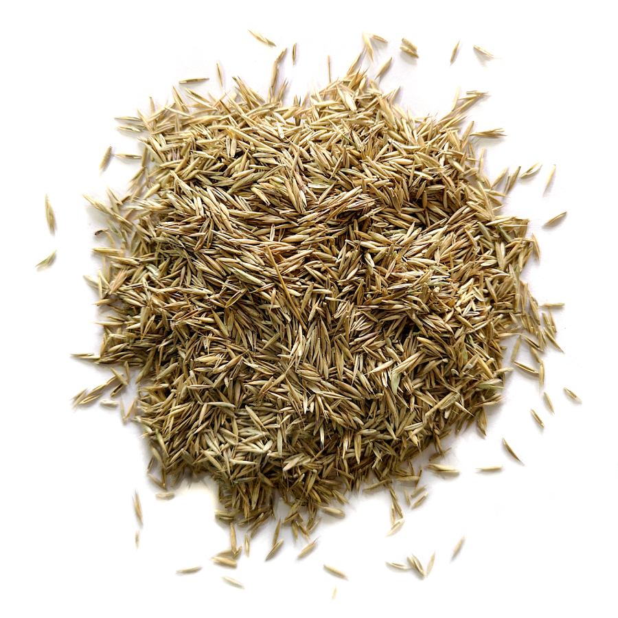 Signature Lawn Seed - 1kg Bag