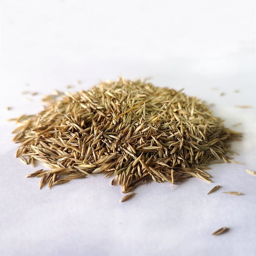 Signature Lawn Seed - 1kg Bag - Image 3