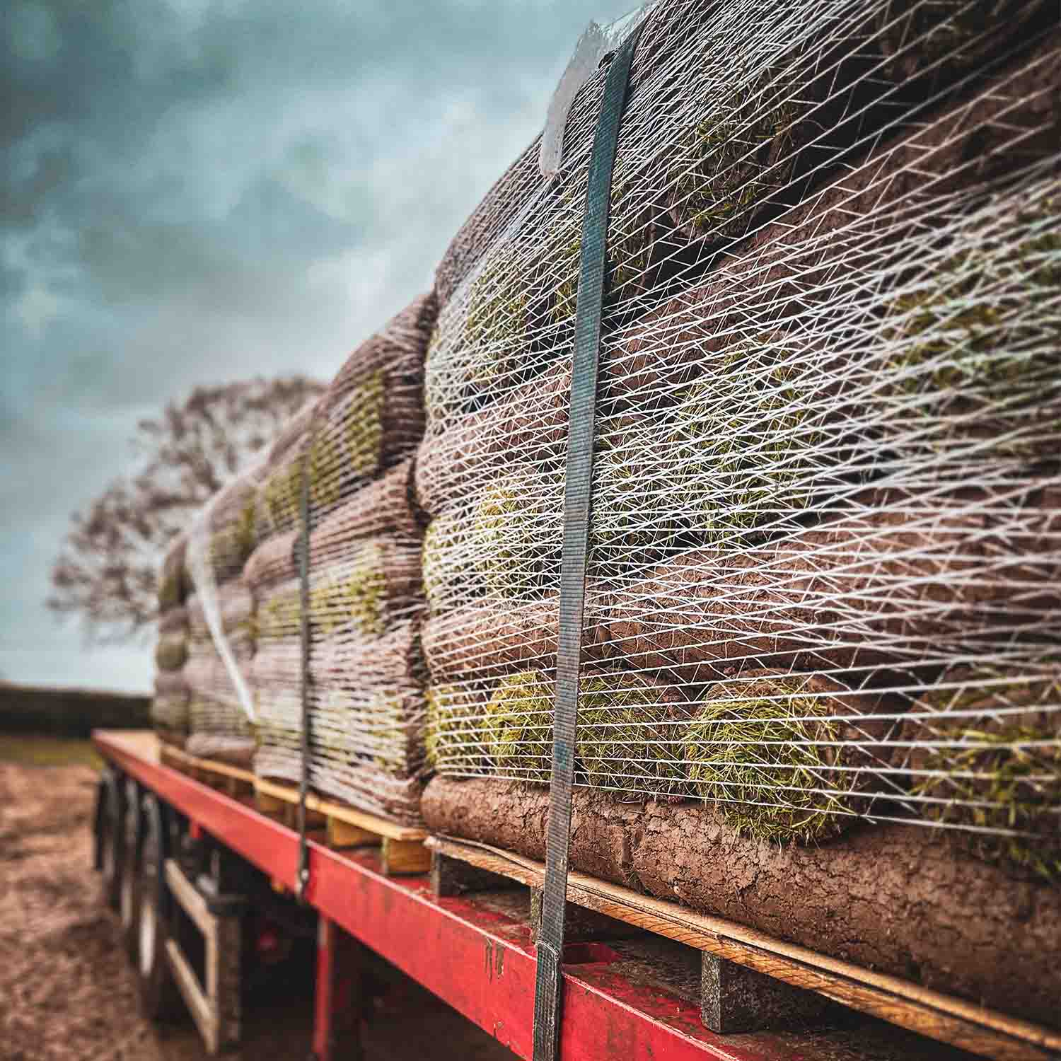 TurfWorld Signature Turf – Lawn Turf Rolls - Image 7
