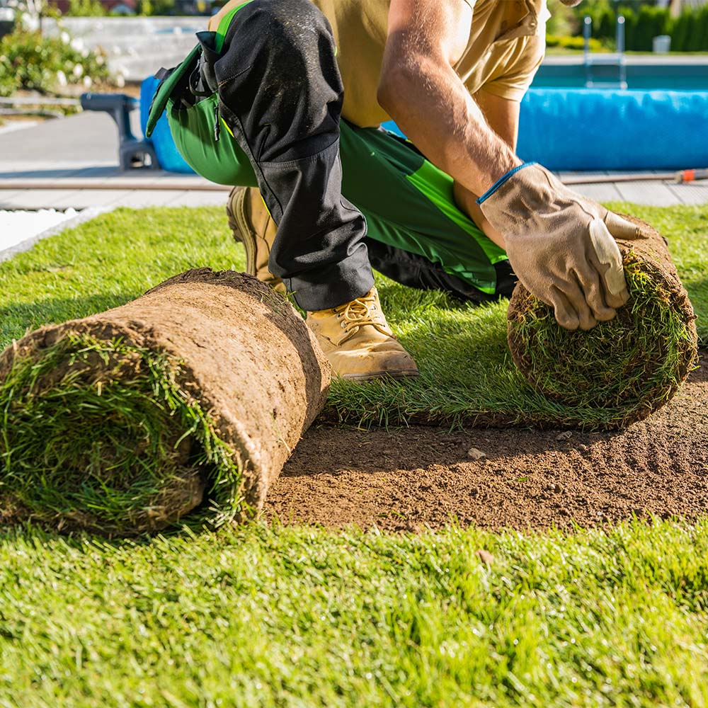 TurfWorld Signature Turf – Lawn Turf Rolls - Image 5