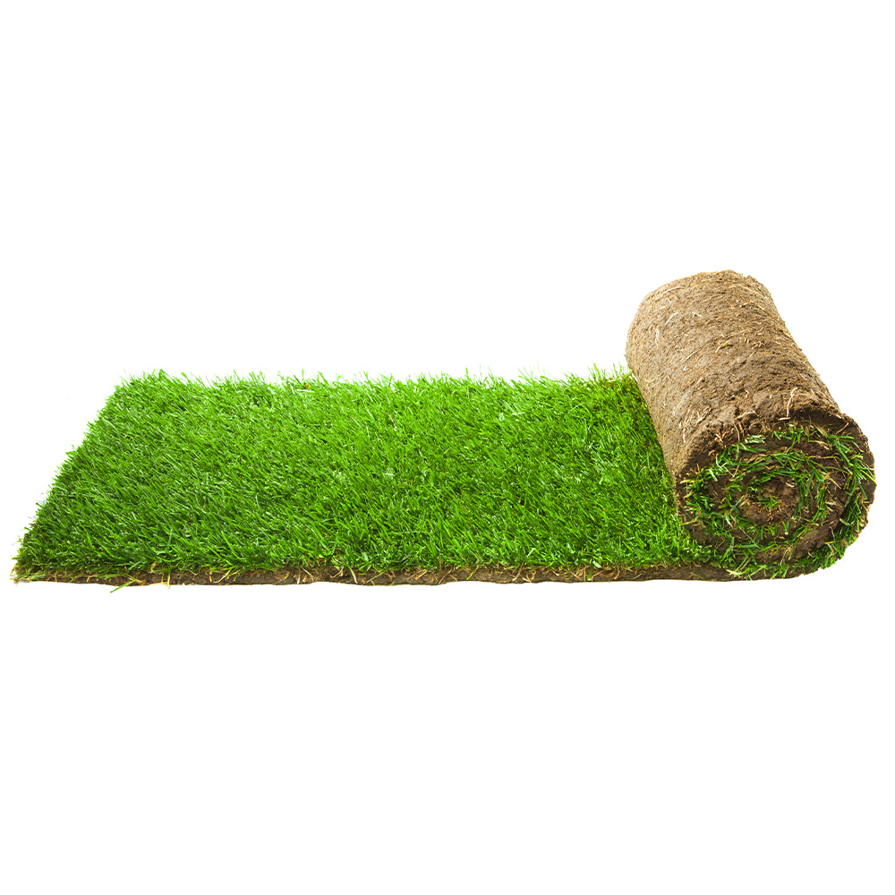 TurfWorld Signature Turf – Lawn Turf Rolls